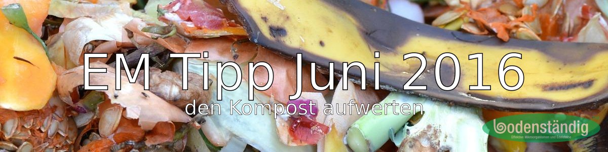 EM_Tipp_Juli_2016