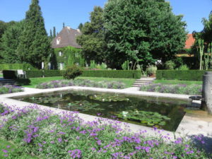 Koiteich im alten Wassergarten - gute Wasserqualität durch EM-a und Bokashi-Balls