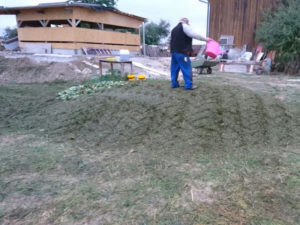 Eingießen der Silage mit EM