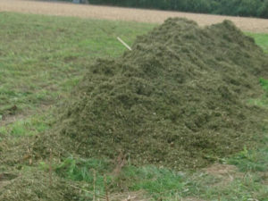 Silage mit EM effektive Mikroorganismen