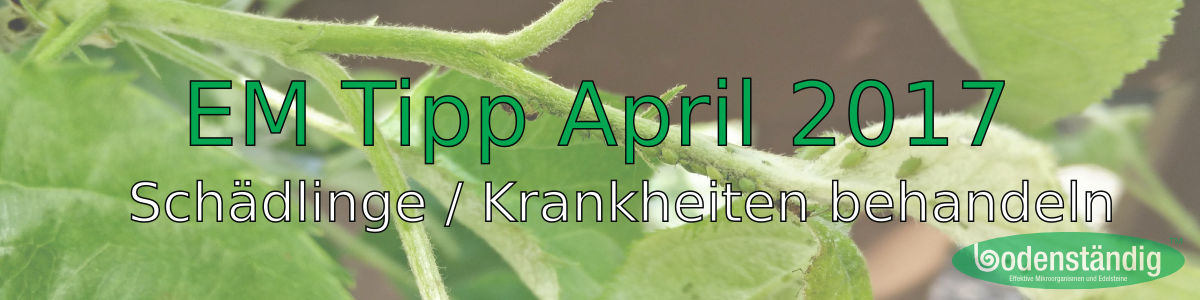 EM Tipp April 2017 - Schädlinge und Krankheiten behandeln