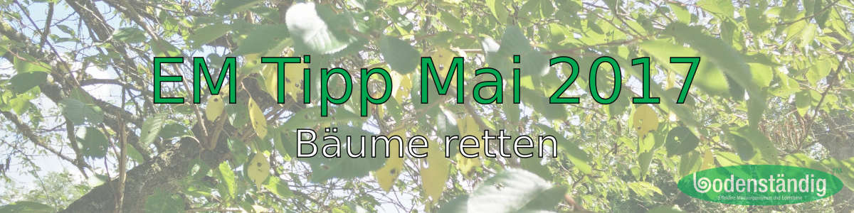 EM Tipp Mai 2017 - Bäume retten