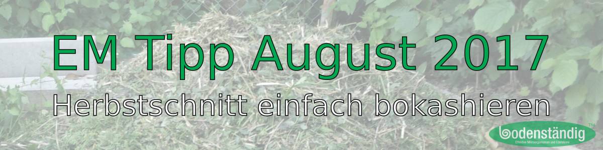 Banner EM-Tipp August 2017