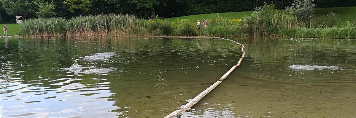 Dango-Day Baggersee 2017