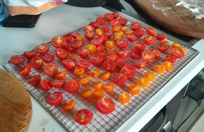 EM Tomaten trocknen mit effektiven Mikroorganismen