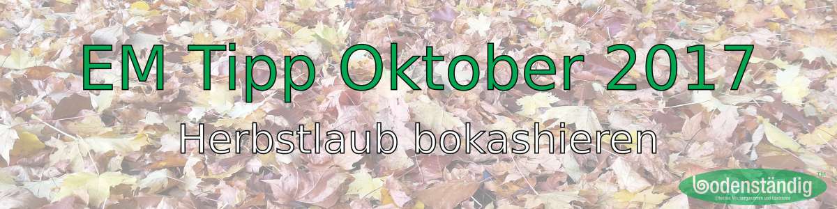 bodenständig EM-Tipp im Oktober 2017 - Herbstlaub bokashi