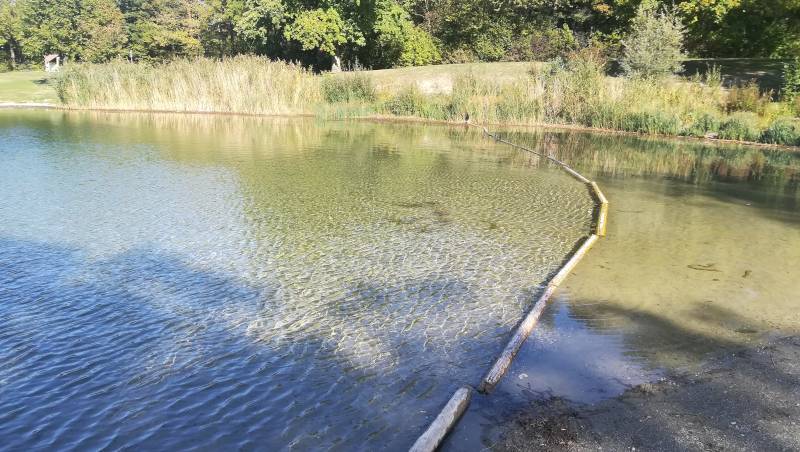 Der Kinderbereich des Pfuhler-Baggersee, schön klar