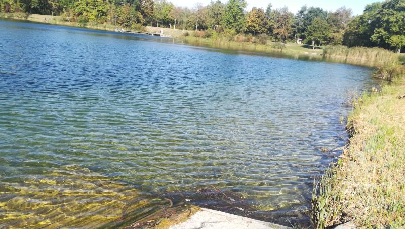 Klares Wasser im Pfuhler Baggersee, mit EM behandelt