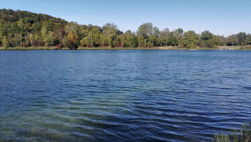 Reines Wasser im Pfuhler Baggersee