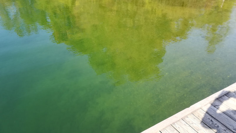 Klares Wasser am Pfuhler Baggersee 